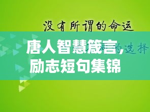 雅人韵士 第2页