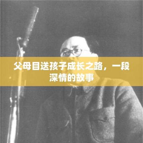 父母目送孩子成长之路，一段深情的故事