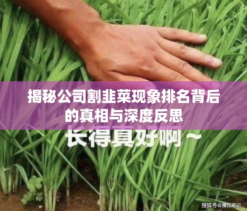 贵冠履轻头足 第2页