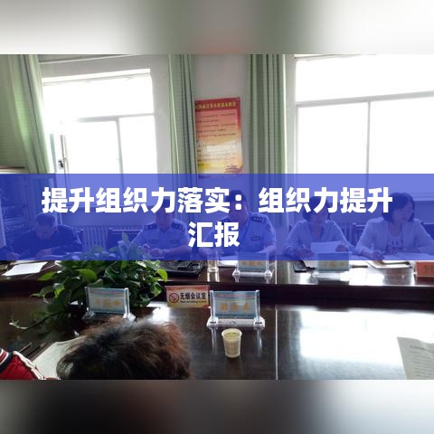 提升组织力落实：组织力提升汇报 