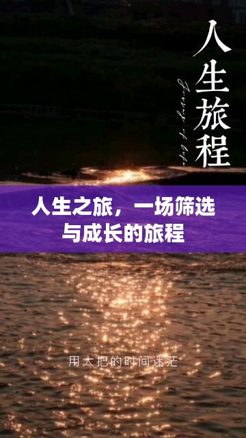 物以稀为贵 第2页