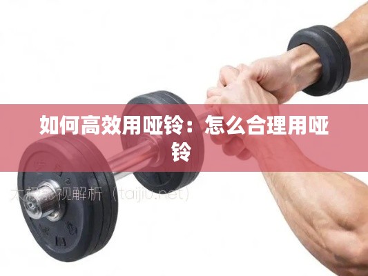 如何高效用哑铃：怎么合理用哑铃 