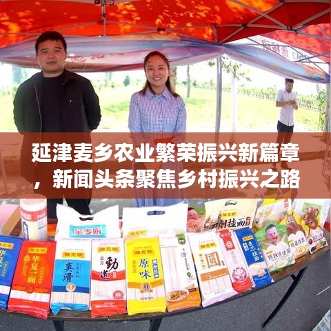 延津麦乡农业繁荣振兴新篇章，新闻头条聚焦乡村振兴之路