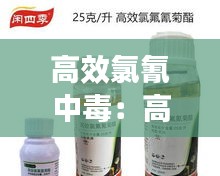 鸟面鹄形 第2页