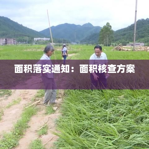 面积落实通知：面积核查方案 