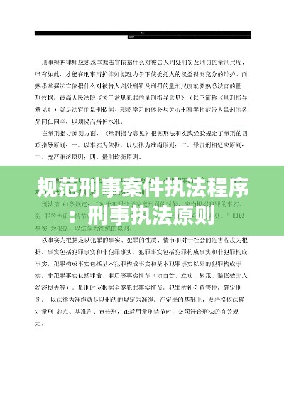 规范刑事案件执法程序：刑事执法原则 