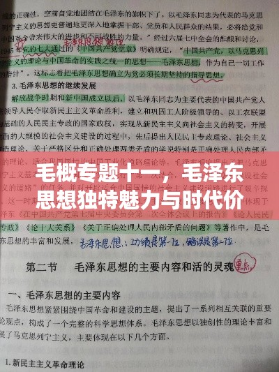 夫荣妻贵 第3页