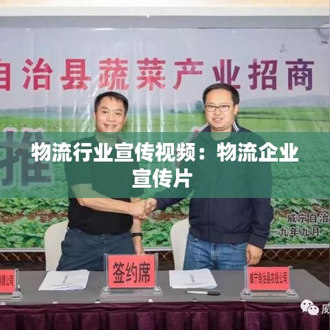 物流行业宣传视频：物流企业宣传片 