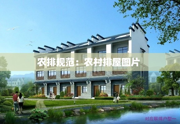 农排规范：农村排屋图片 