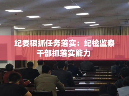 纪委狠抓任务落实：纪检监察干部抓落实能力 