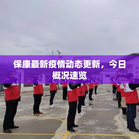 保康最新疫情动态更新，今日概况速览