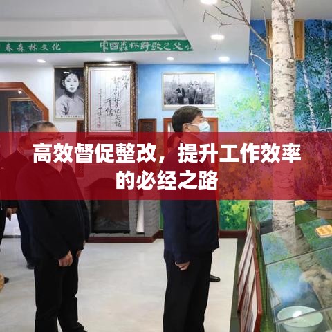 高效督促整改，提升工作效率的必经之路
