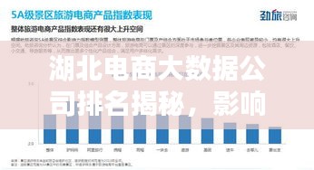 湖北电商大数据公司排名揭秘，影响力深度解析