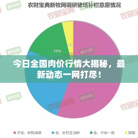 今日全国肉价行情大揭秘，最新动态一网打尽！