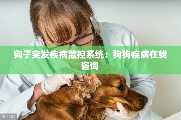 狗子突发疾病监控系统：狗狗疾病在线咨询 