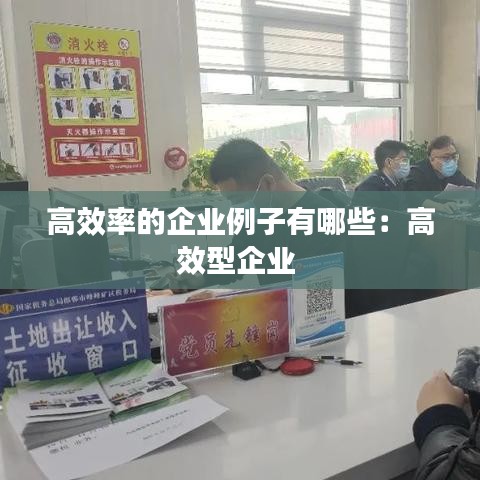 高效率的企业例子有哪些：高效型企业 