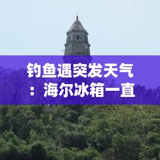 钓鱼遇突发天气：海尔冰箱一直嗡嗡响,打开就不响了 