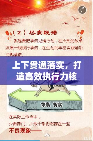 上下贯通落实，打造高效执行力核心之道
