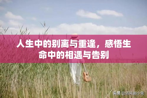 人生中的别离与重逢，感悟生命中的相遇与告别