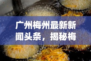 广州梅州最新新闻头条，揭秘梅州发展新动态