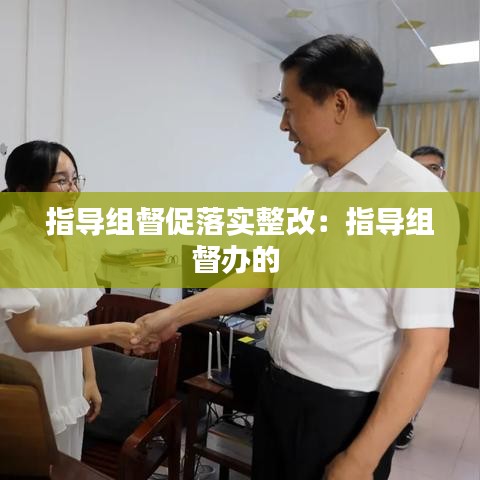 指导组督促落实整改：指导组督办的 