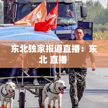 东北独家报道直播：东北 直播 