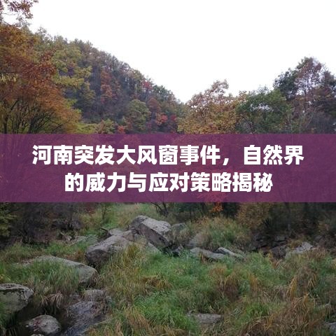 河南突发大风窗事件，自然界的威力与应对策略揭秘