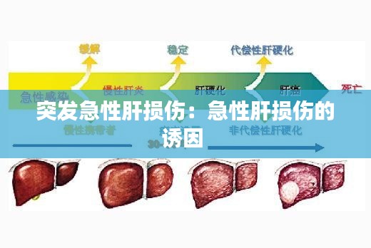 突发急性肝损伤：急性肝损伤的诱因 