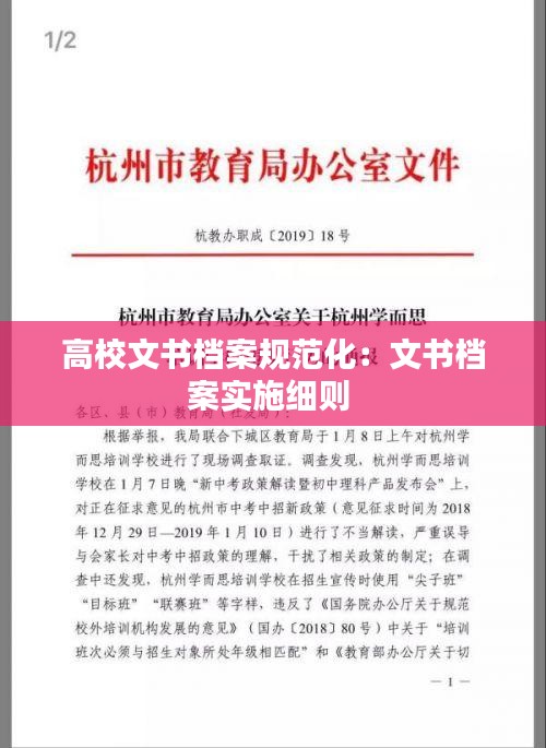 高校文书档案规范化：文书档案实施细则 