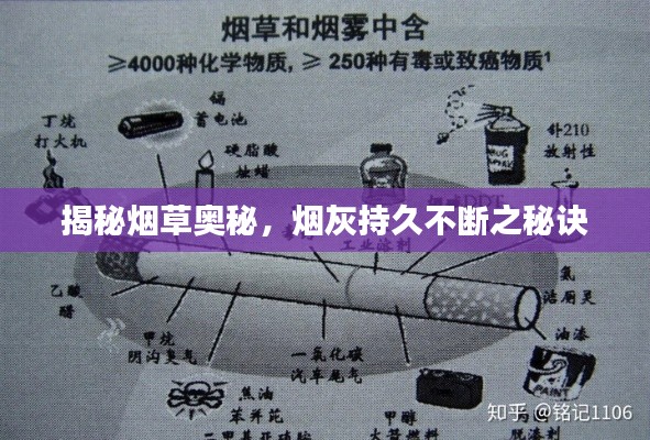 揭秘烟草奥秘，烟灰持久不断之秘诀