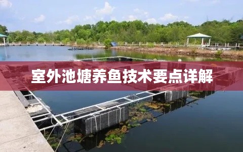 室外池塘养鱼技术要点详解