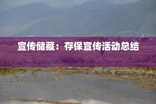 宣传储藏：存保宣传活动总结 