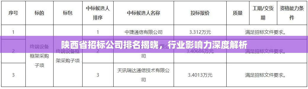陕西省招标公司排名揭晓，行业影响力深度解析
