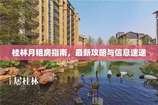 桂林月租房指南，最新攻略与信息速递