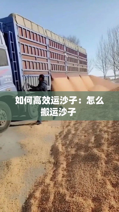 还醇返朴 第2页