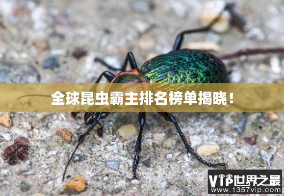 全球昆虫霸主排名榜单揭晓！