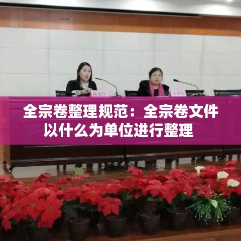 全宗卷整理规范：全宗卷文件以什么为单位进行整理 