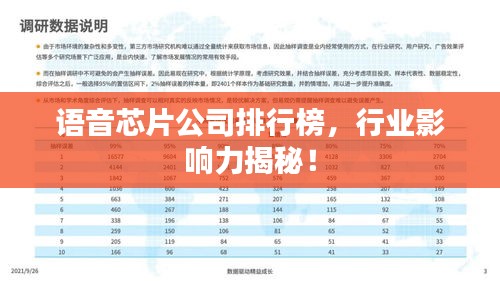 语音芯片公司排行榜，行业影响力揭秘！