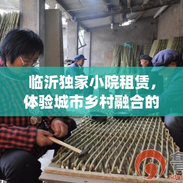 临沂独家小院租赁，体验城市乡村融合的独特生活之美
