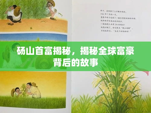 砀山首富揭秘，揭秘全球富豪背后的故事