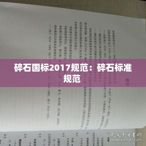 展翅高飞 第2页