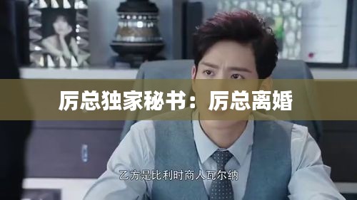 厉总独家秘书：厉总离婚 