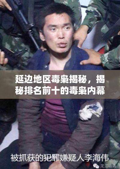 延边地区毒枭揭秘，揭秘排名前十的毒枭内幕