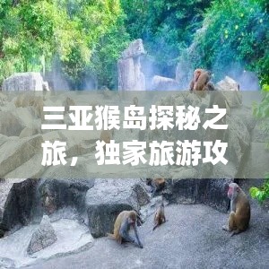 五侯七贵 第2页