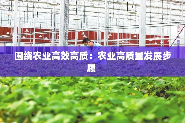 围绕农业高效高质：农业高质量发展步履 