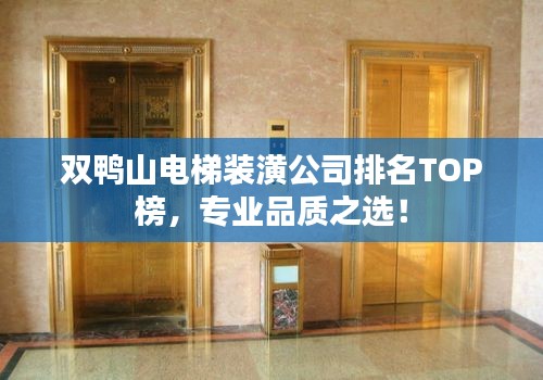 双鸭山电梯装潢公司排名TOP榜，专业品质之选！