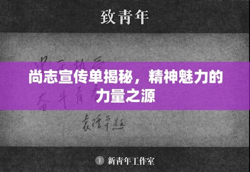 尚志宣传单揭秘，精神魅力的力量之源
