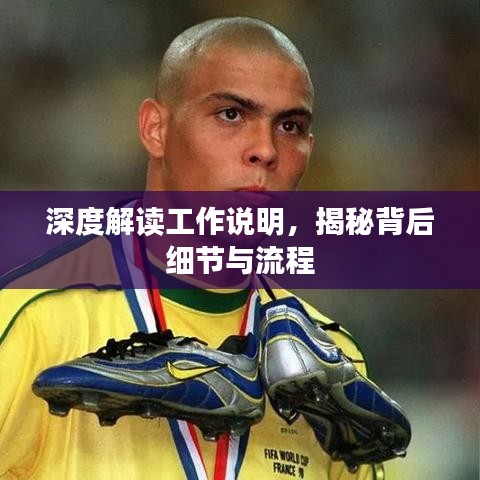 深度解读工作说明，揭秘背后细节与流程