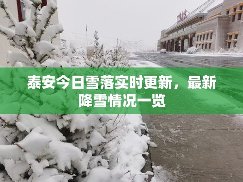 泰安今日雪落实时更新，最新降雪情况一览