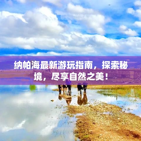 纳帕海最新游玩指南，探索秘境，尽享自然之美！